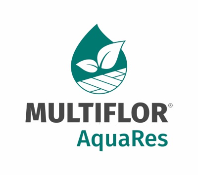 mf logo web